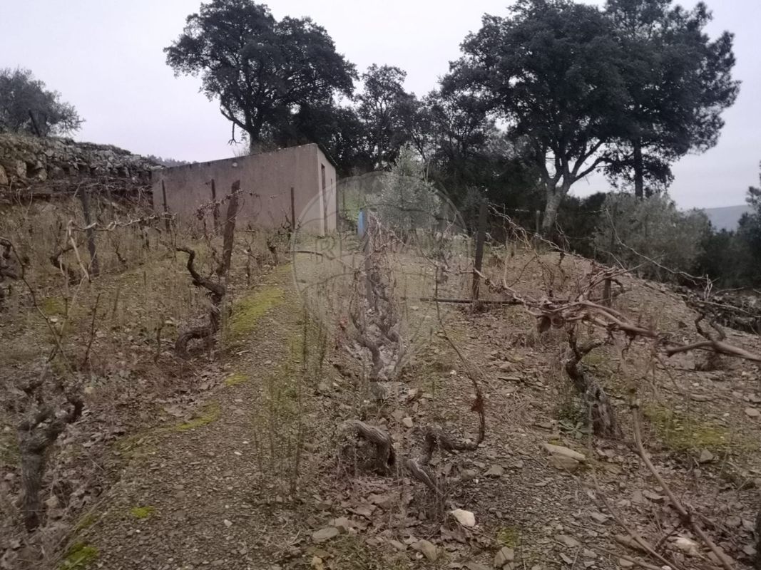 TODO