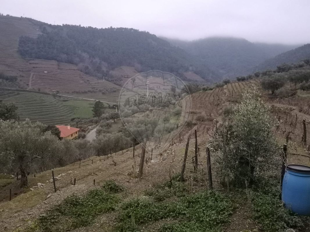 Terreno  para venda