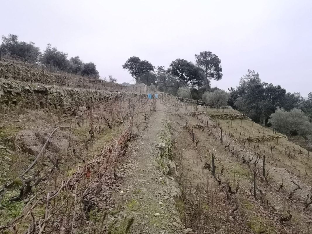 TODO