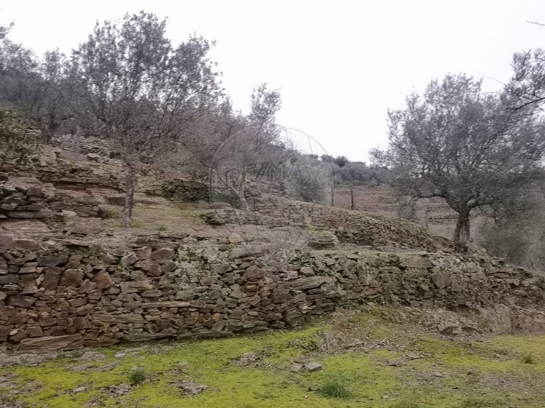 TODO