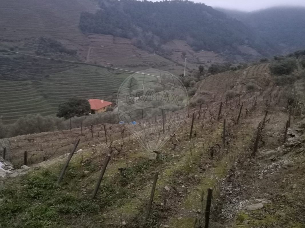 TODO