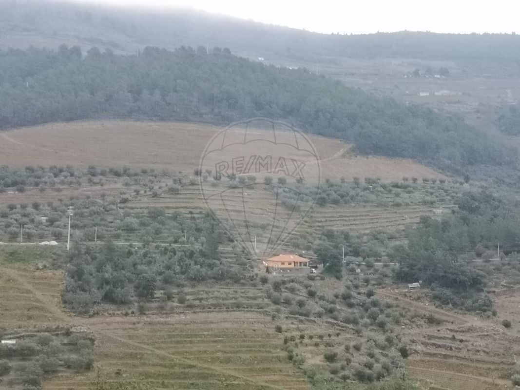 TODO