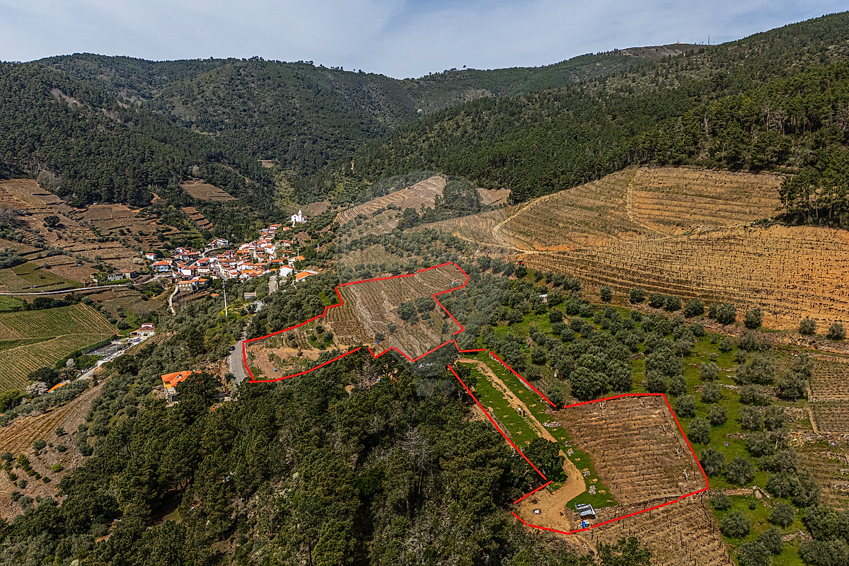 Terreno  para venda