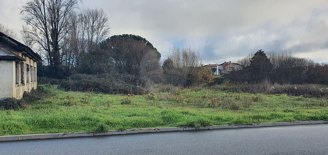 Terreno - Canas de Senhorim, Nelas, Viseu