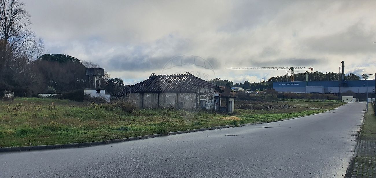 Terreno - Canas de Senhorim, Nelas, Viseu