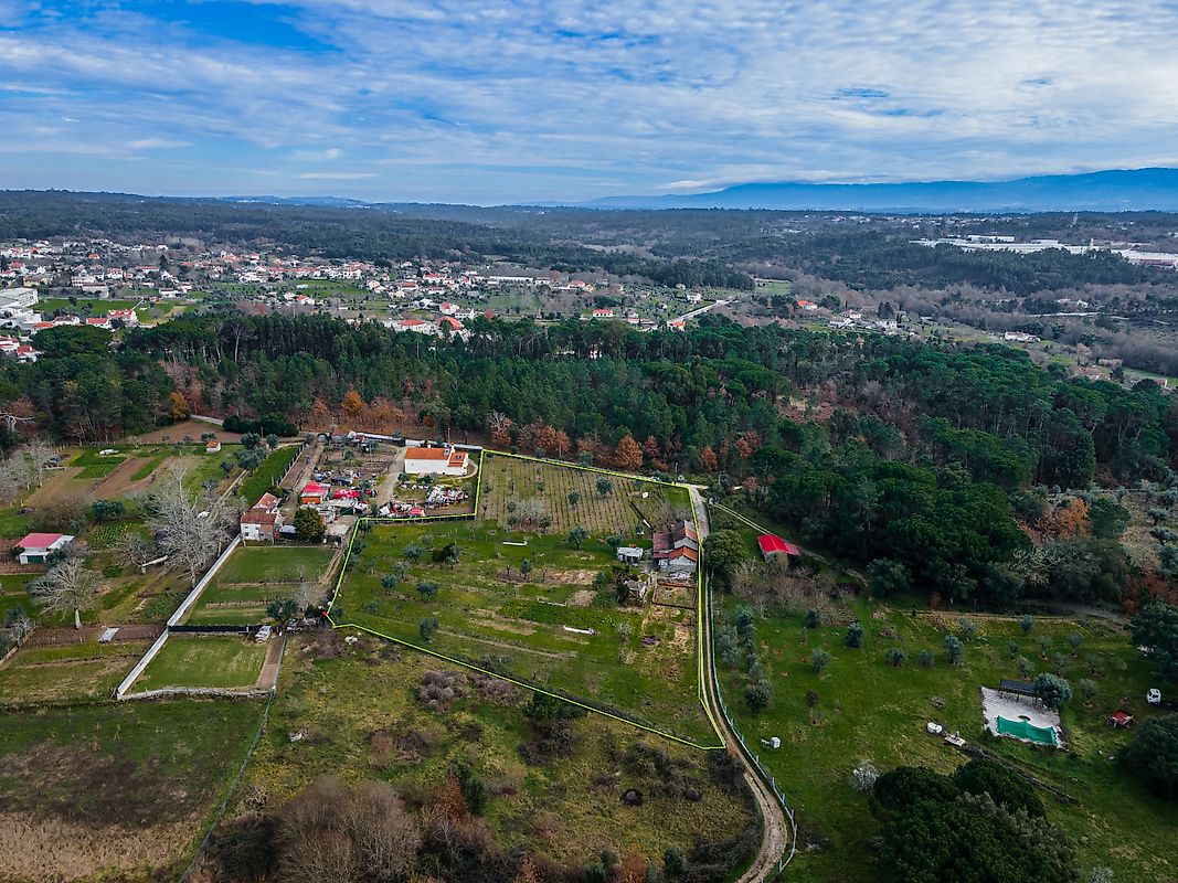 Quinta à venda em Carregal do Sal