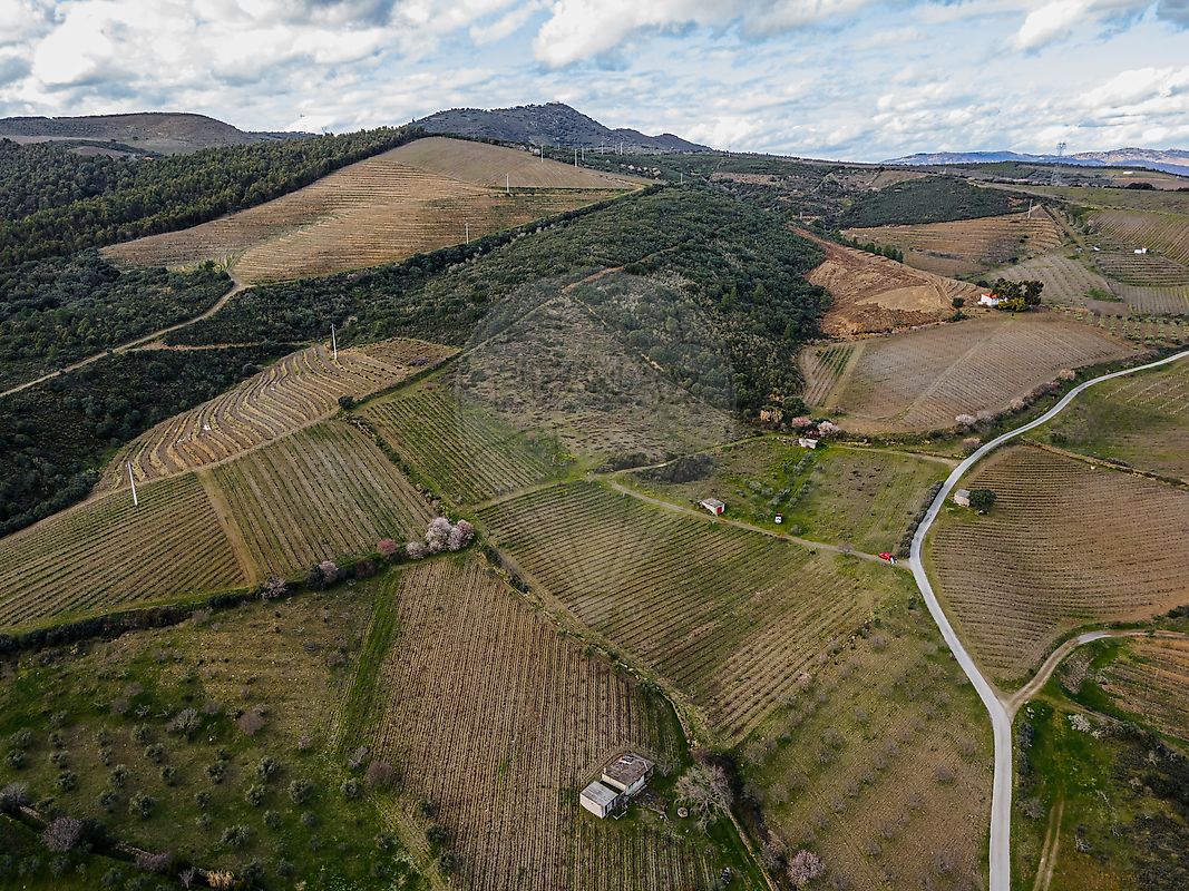Terreno  para venda