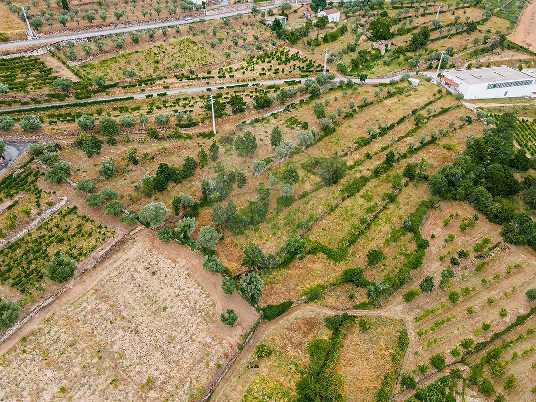 Terreno para venda