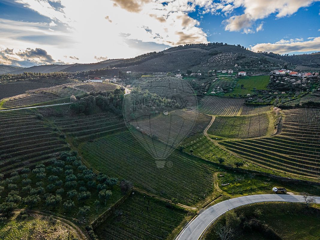 Terreno  para venda