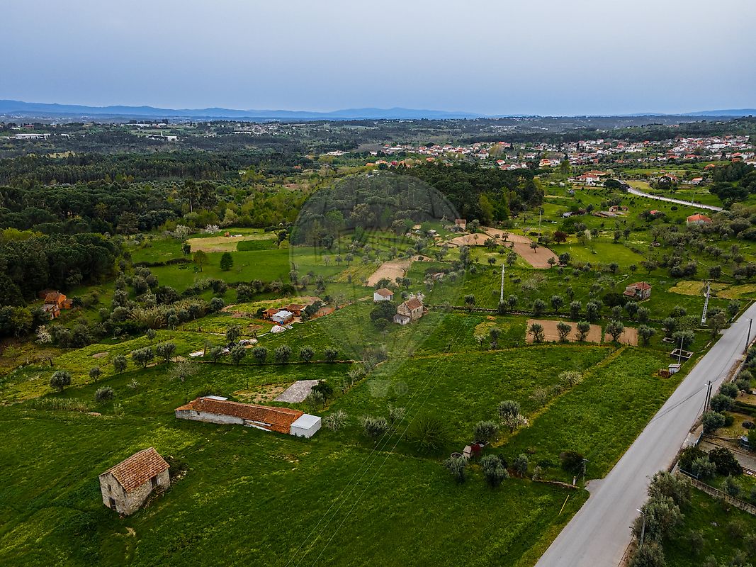 Terreno  à venda em Carregal do Sal