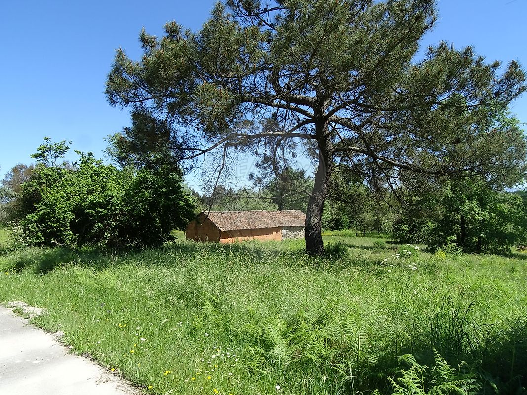 Terreno - Espinho, Mangualde, Viseu