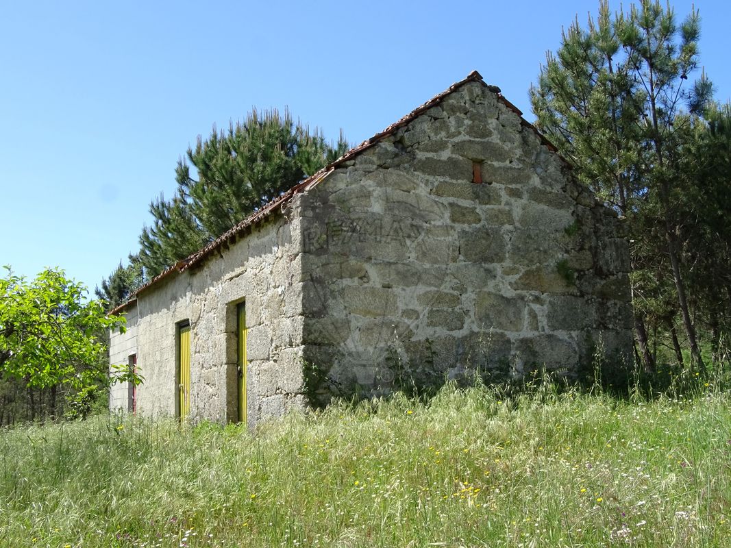 TODO