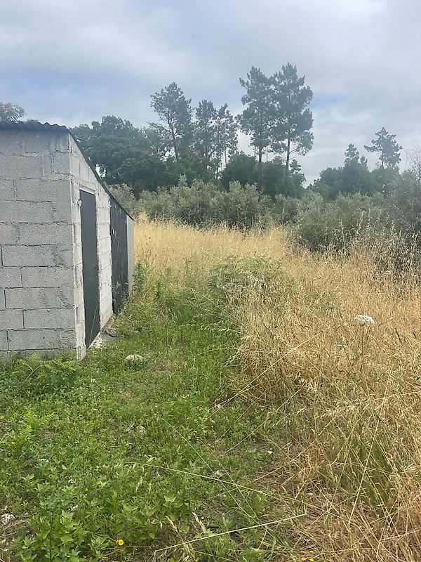 Terreno à venda em Nelas