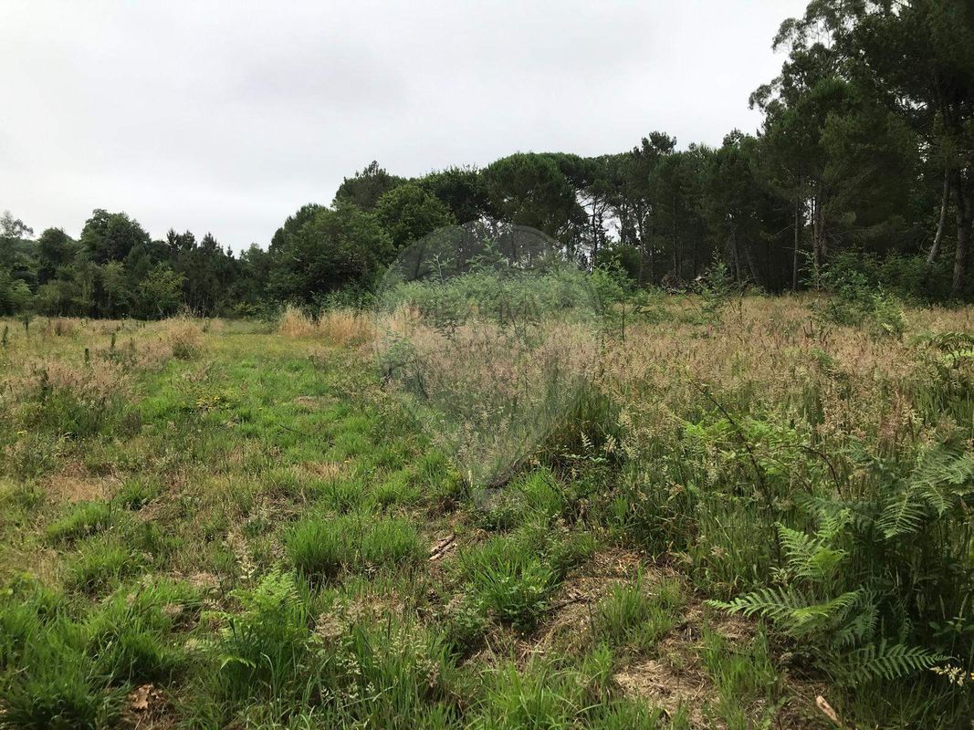 Terreno para venda