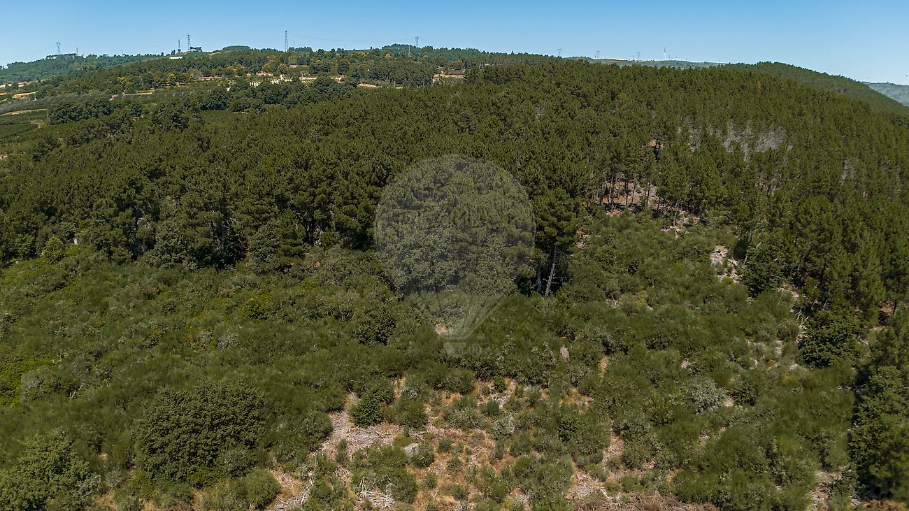 Terreno  para venda