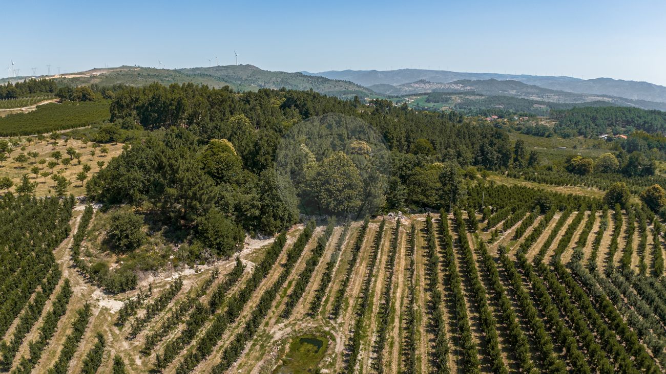 Terreno  para venda