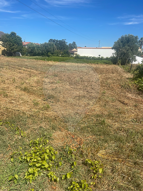 Terreno para venda