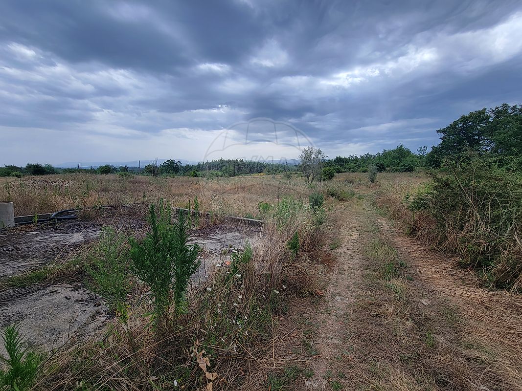 Terreno em Santa Comba Dão