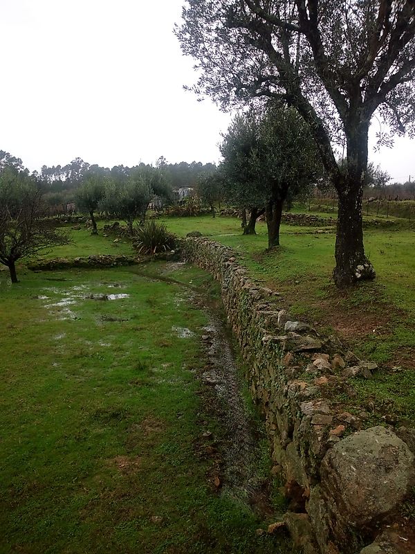 Terreno  à venda em Viseu