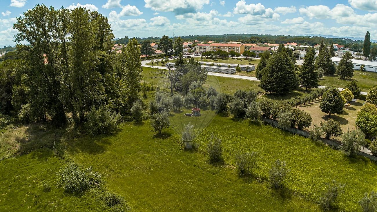 Land for sale in Nelas, Portugal — €67,000