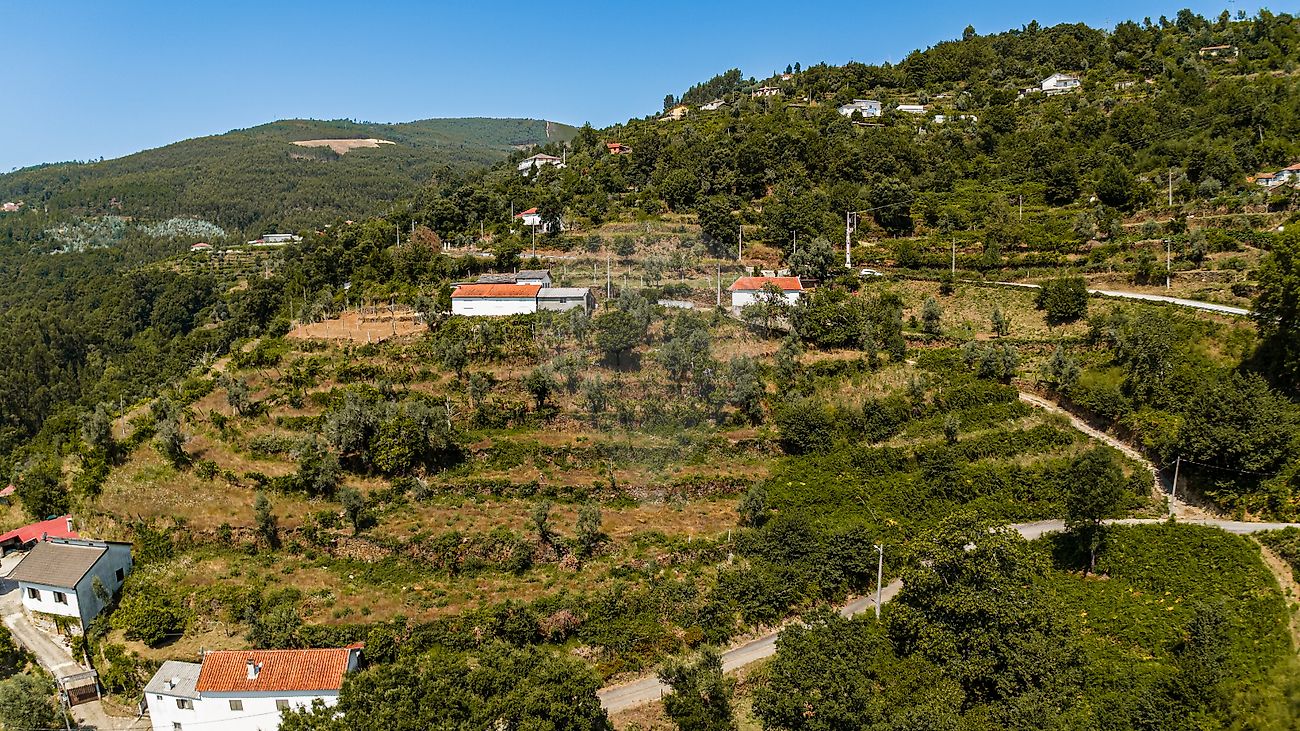 Terreno  para venda