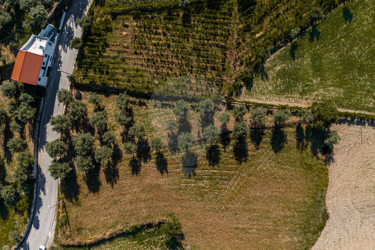 Terreno para venda