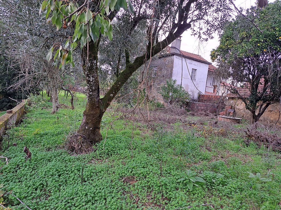 Moradia T3 à venda em Canas de Santa Maria, Tondela — foto 22