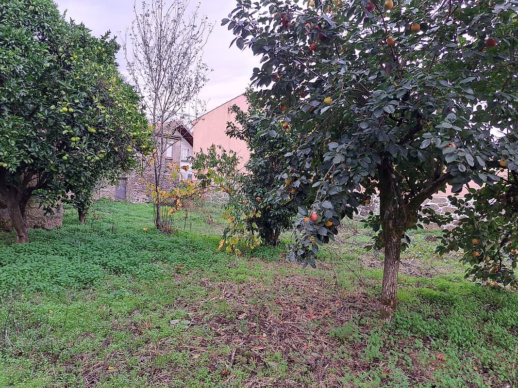 Moradia T3 à venda em Canas de Santa Maria, Tondela — foto 21