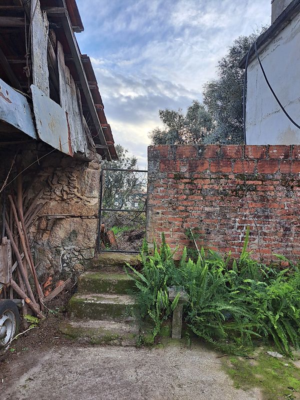 Moradia T3 à venda em Canas de Santa Maria, Tondela — foto 17