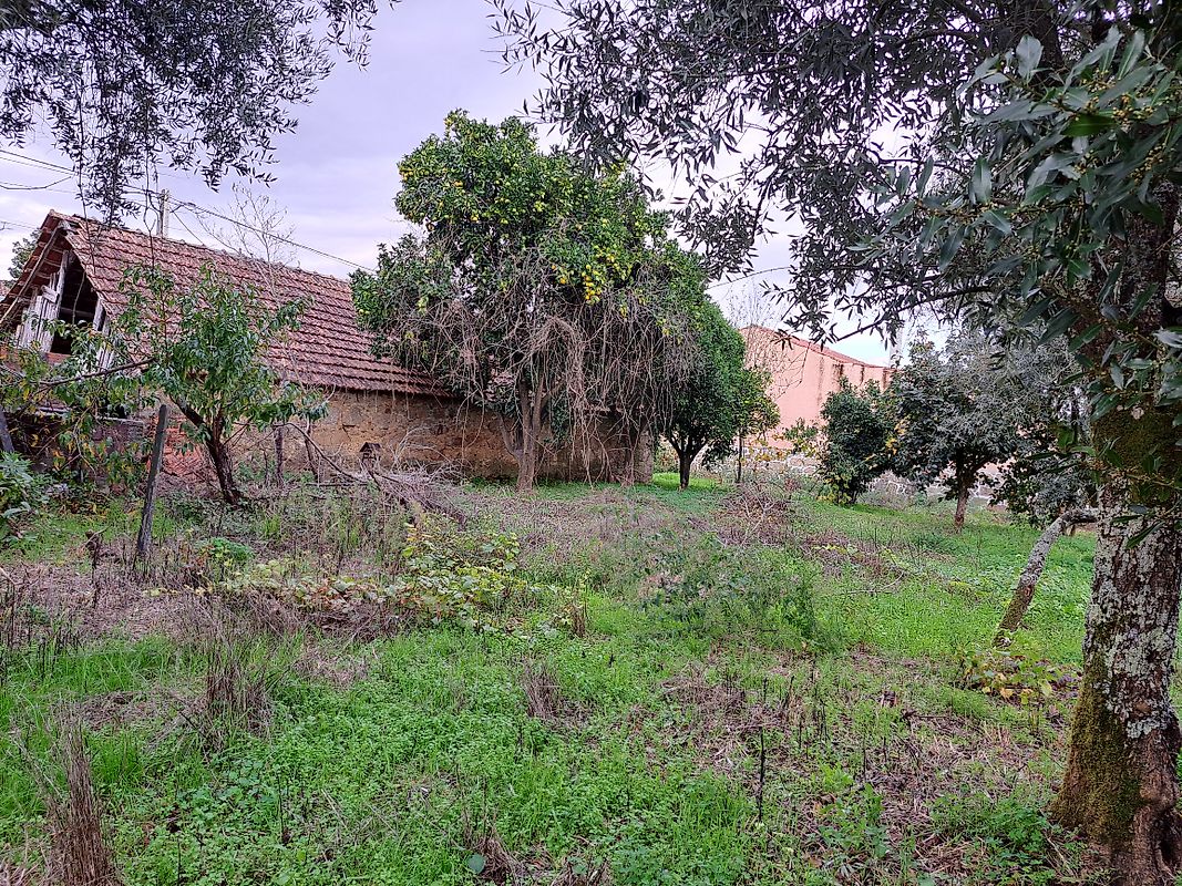 Moradia T3 à venda em Canas de Santa Maria, Tondela — foto 20