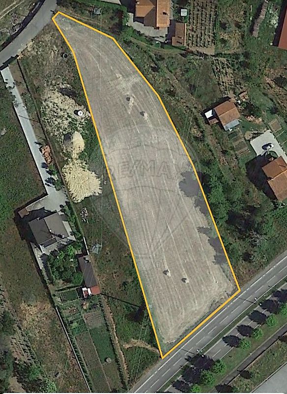 Terreno para arrendar em Tondela