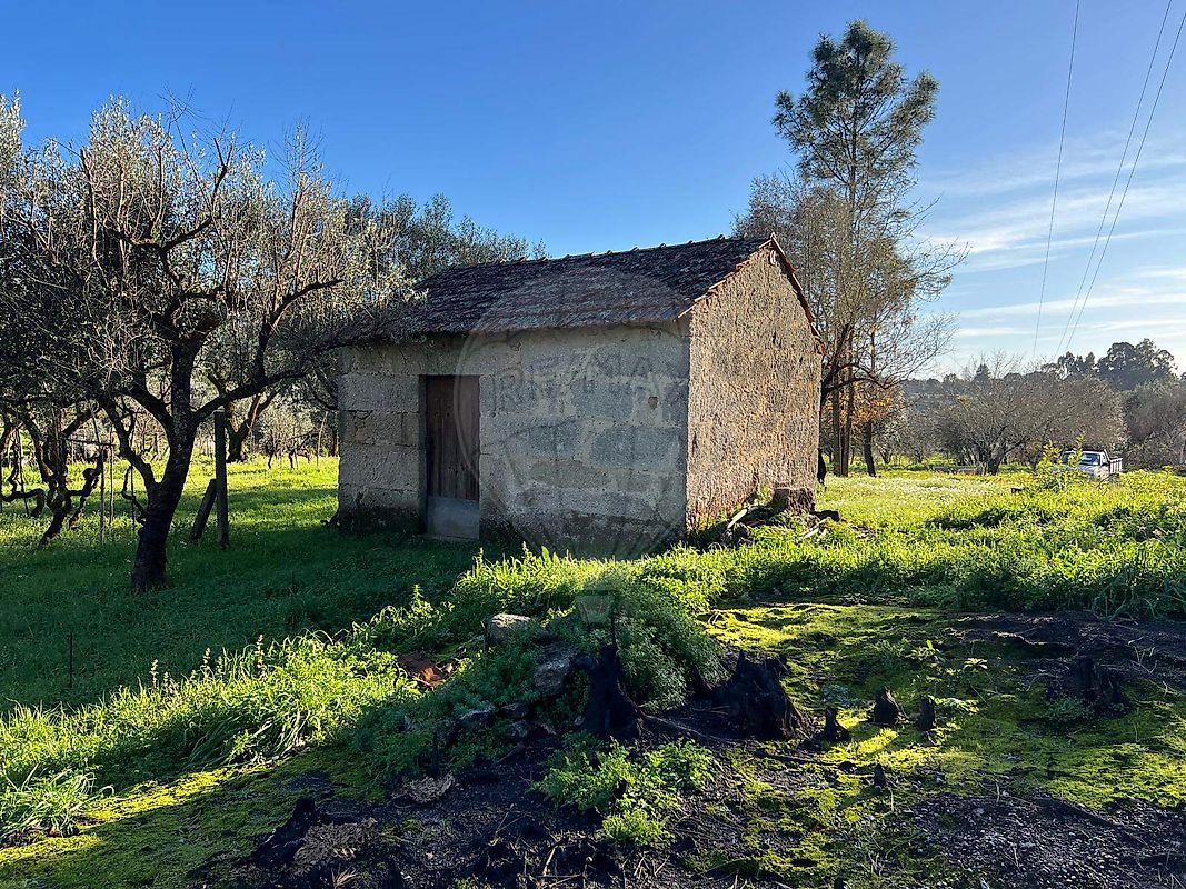 Terreno  à venda em Lapa do Lobo