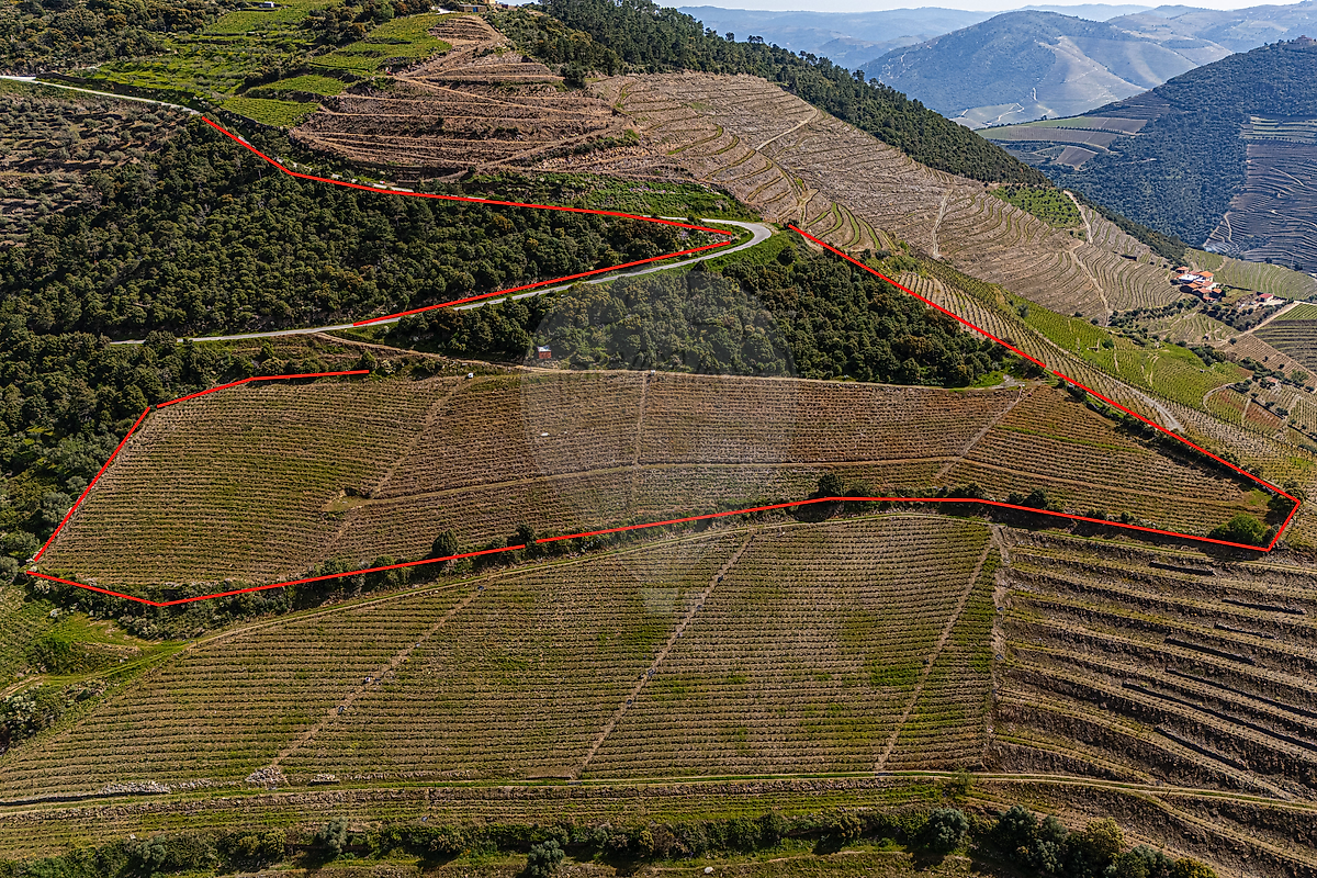 Terreno  para venda