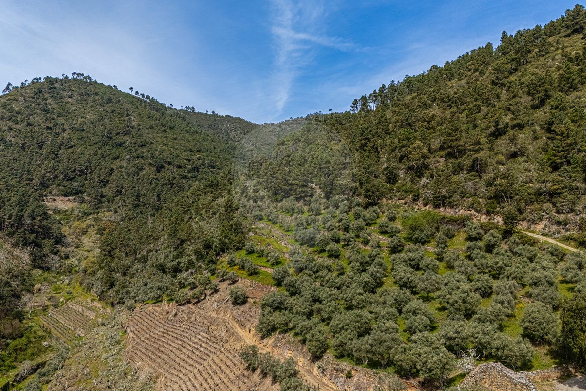 Terreno  para venda
