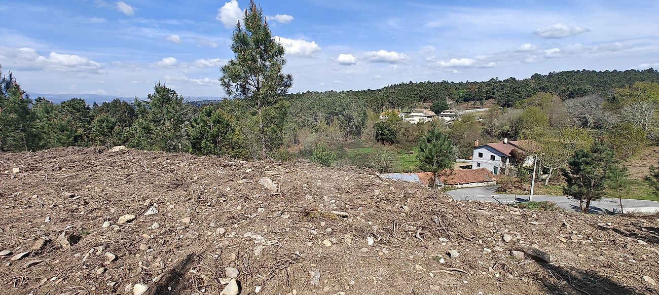 Terreno  para venda
