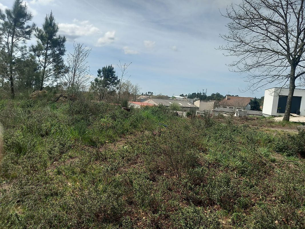 Terreno - Vila Nova de Paiva, Alhais e Fráguas, Vila Nova de Paiva, Viseu