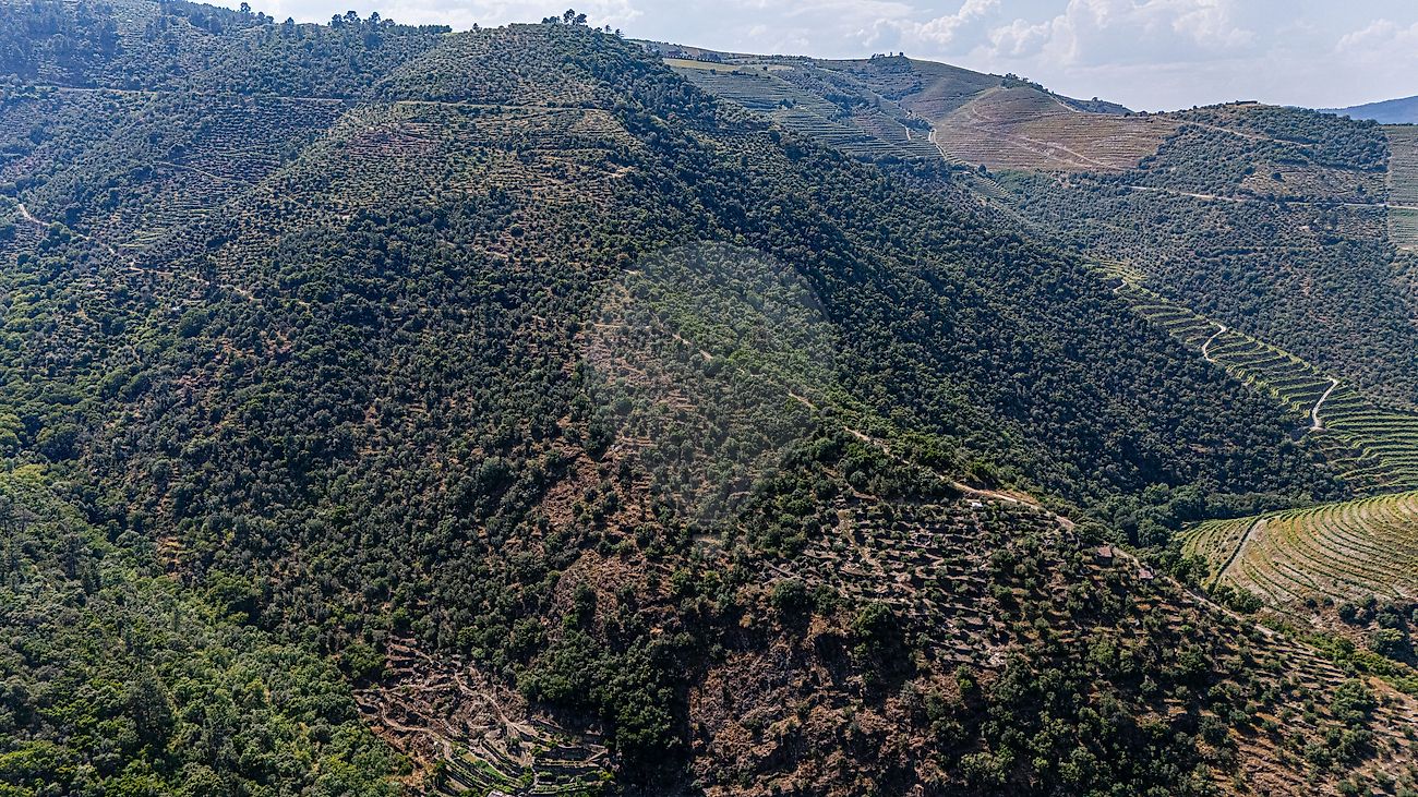 Terreno para venda