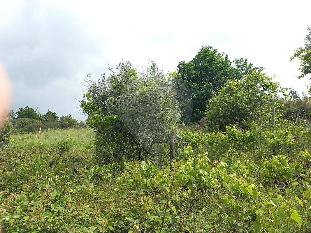 Terreno  para venda