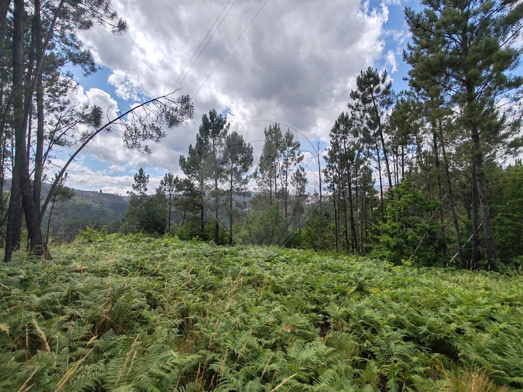 Terreno para venda