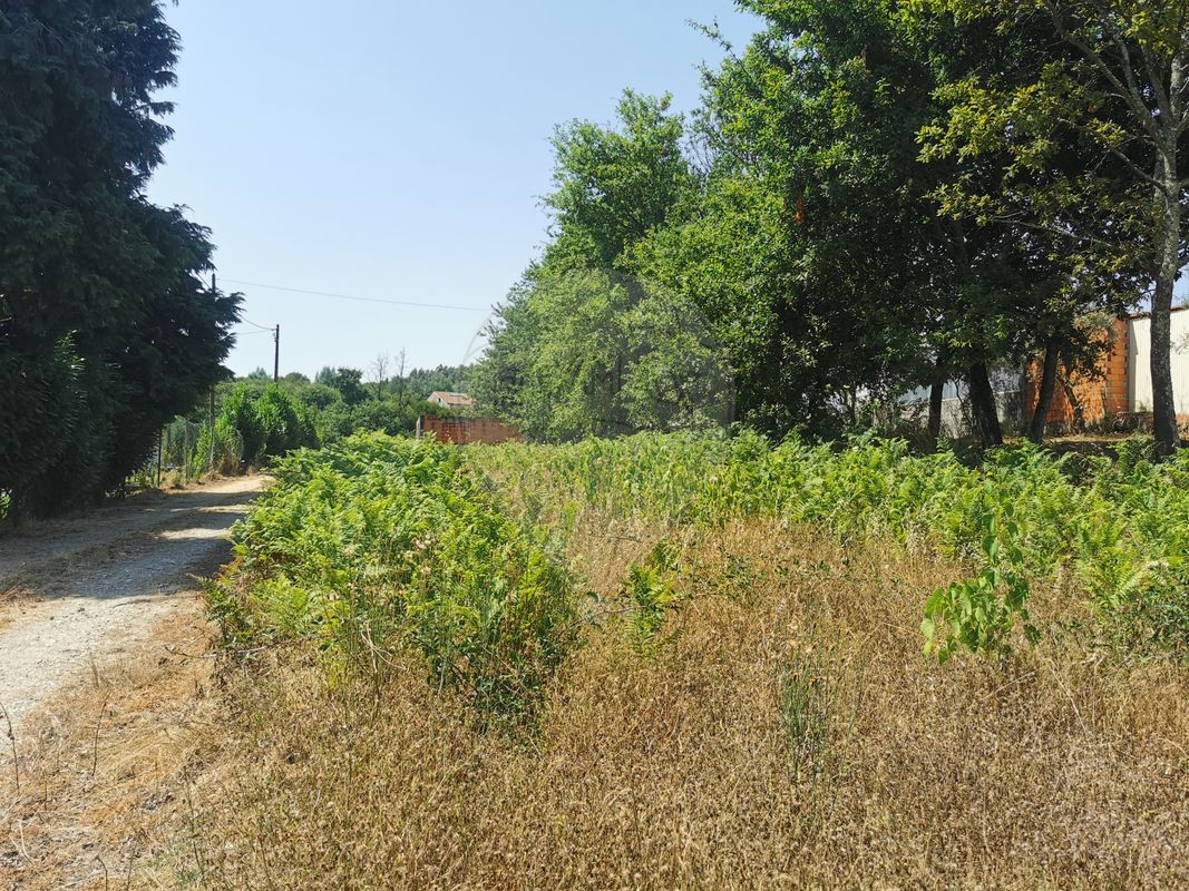 Terreno para venda