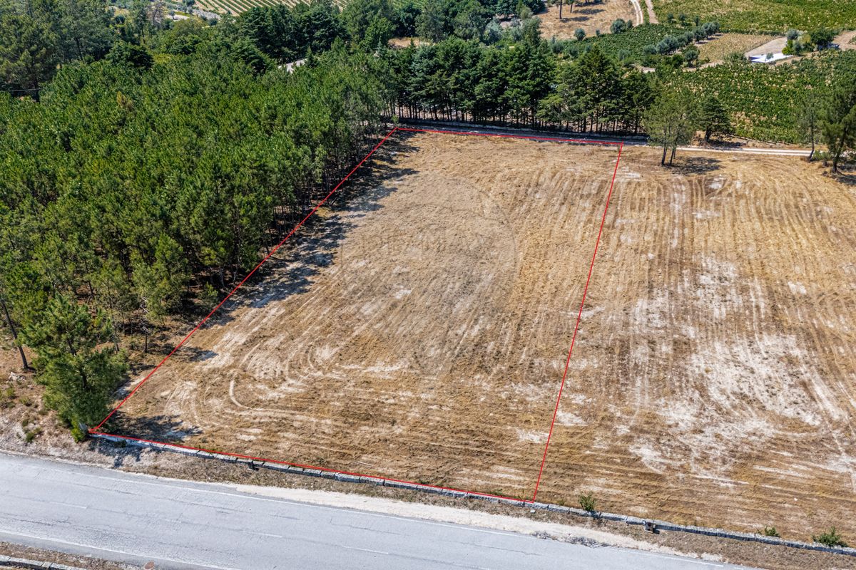 Terreno  para venda