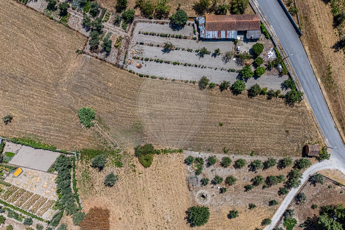 Terreno  para venda