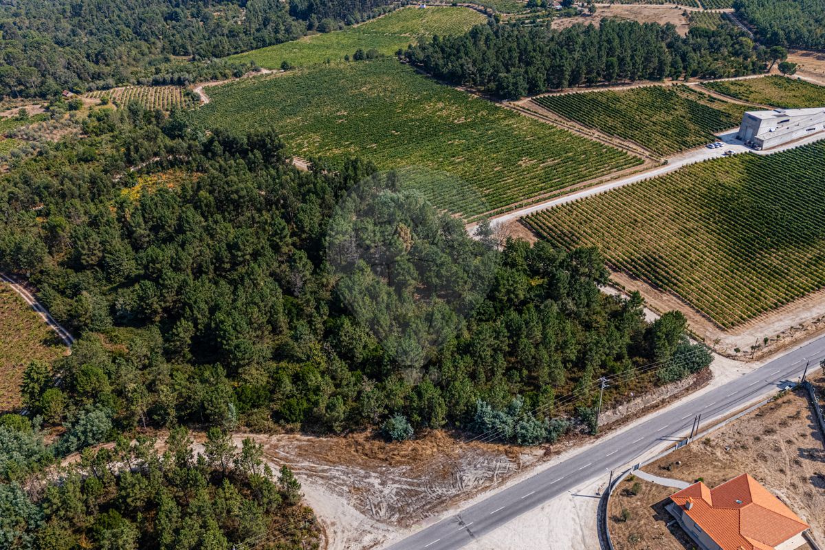 Terreno para venda
