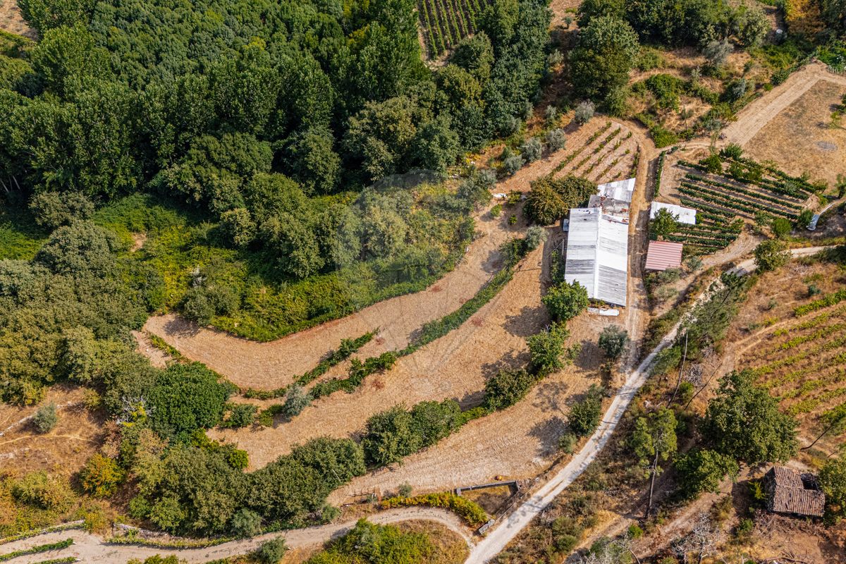 Terreno  para venda