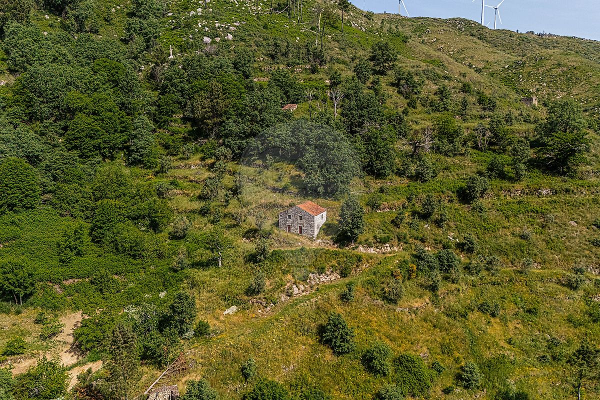 TODO