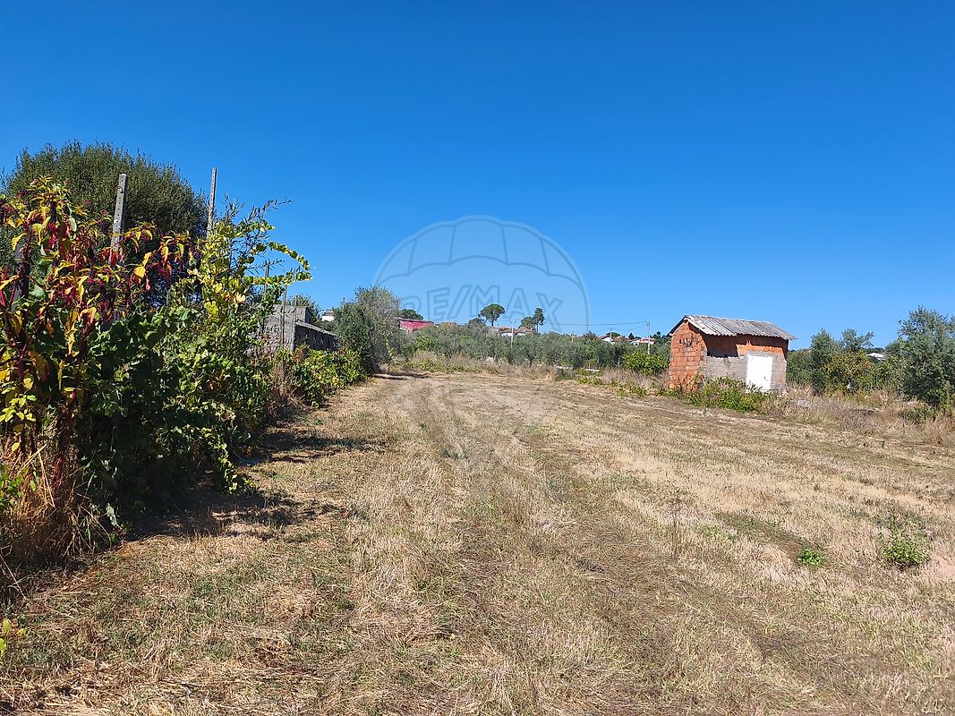 Terreno à venda em Viseu