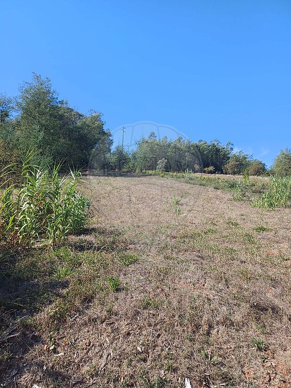 Terreno à venda em Coimbra