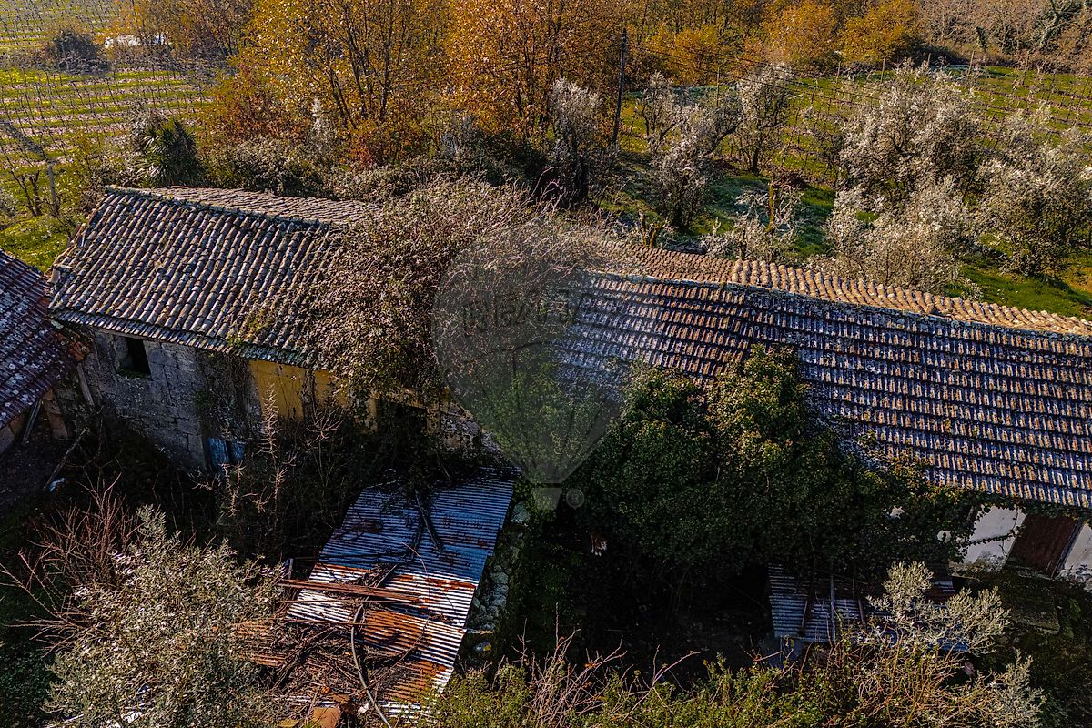 Moradia T3 à venda em São Miguel do Mato, Vouzela — foto 12