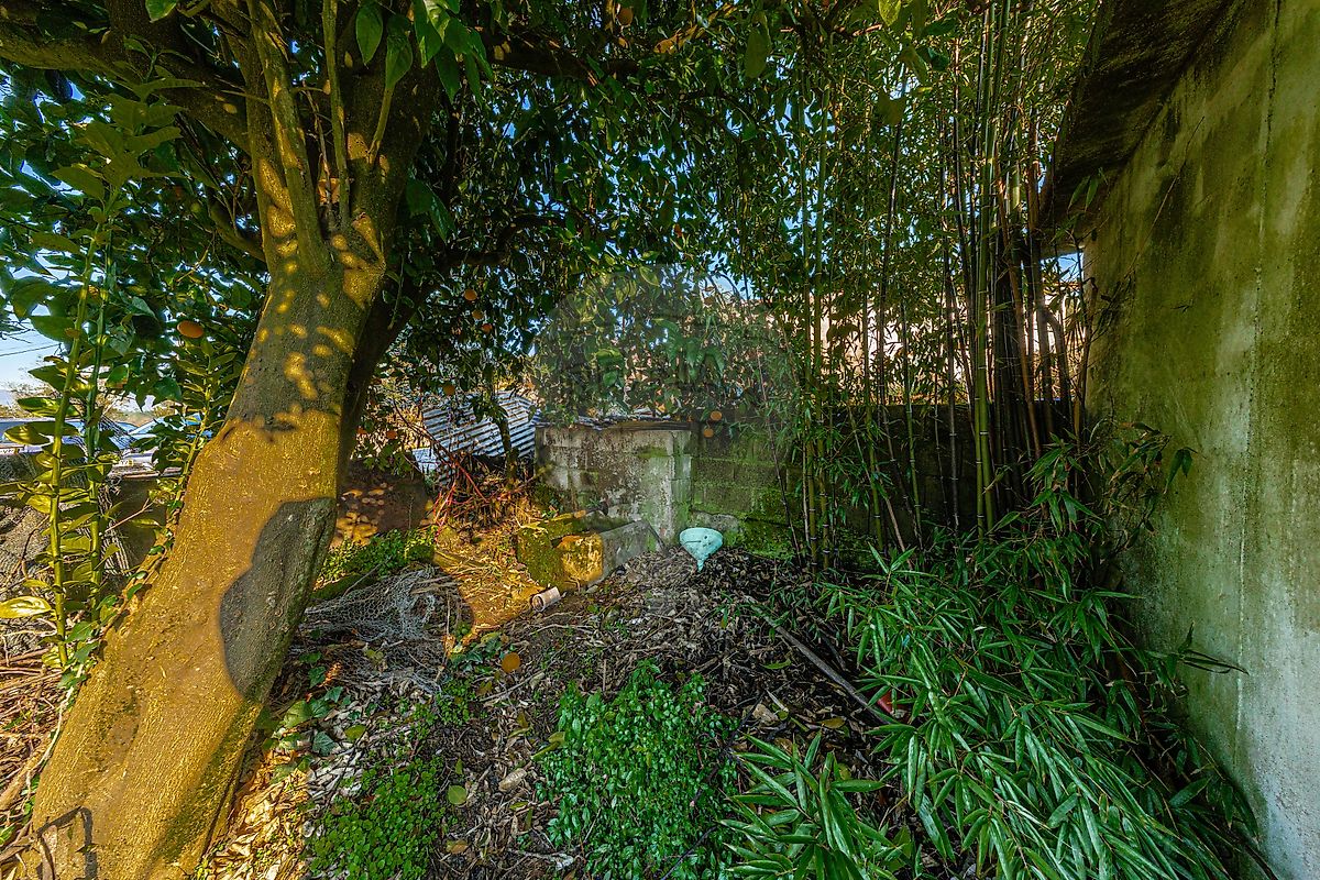 Moradia T3 à venda em São Miguel do Mato, Vouzela — foto 26