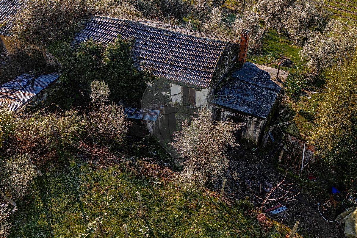 Moradia - São Miguel do Mato, Vouzela, Viseu